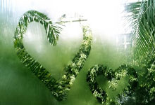 祝贺！国羽提前包揽总决赛女单冠亚军人民网微博.